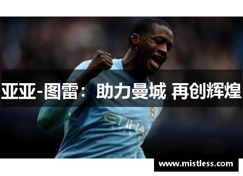 亚亚-图雷：助力曼城 再创辉煌